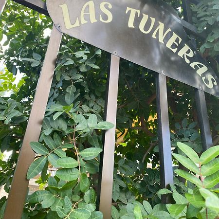 Las Tuneras Apartamento En San Agustin San Bartolomé المظهر الخارجي الصورة